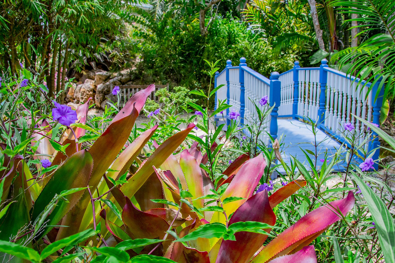 Visiting the Botanical Gardens in Grand Cayman