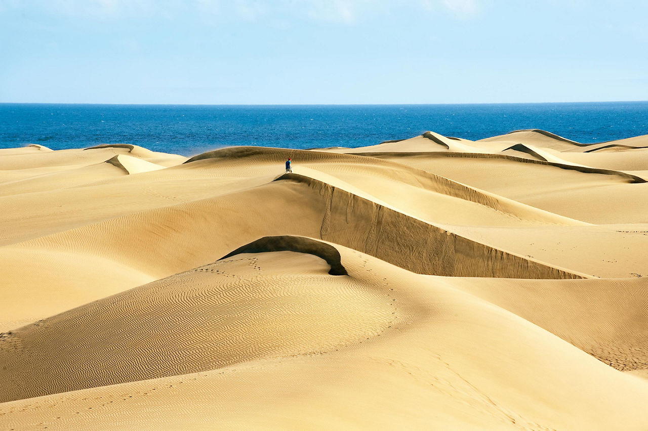 Coastal sand dunes in Gran Canaria, Canary Islands