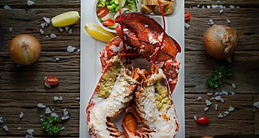 Steamed Lobster, Halifax, Nova Scotia