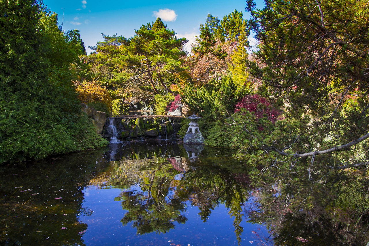The botanical gardens of Tasmania situated in Hobart
