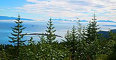 Pine Trees by the Ocean, Icy Strait Point, Alaska