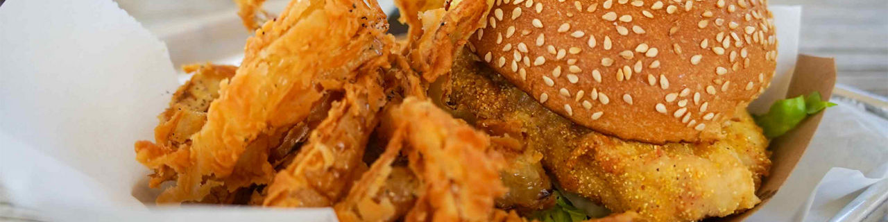 Local Cuisine Fish Burger Fries, Key West, Florida