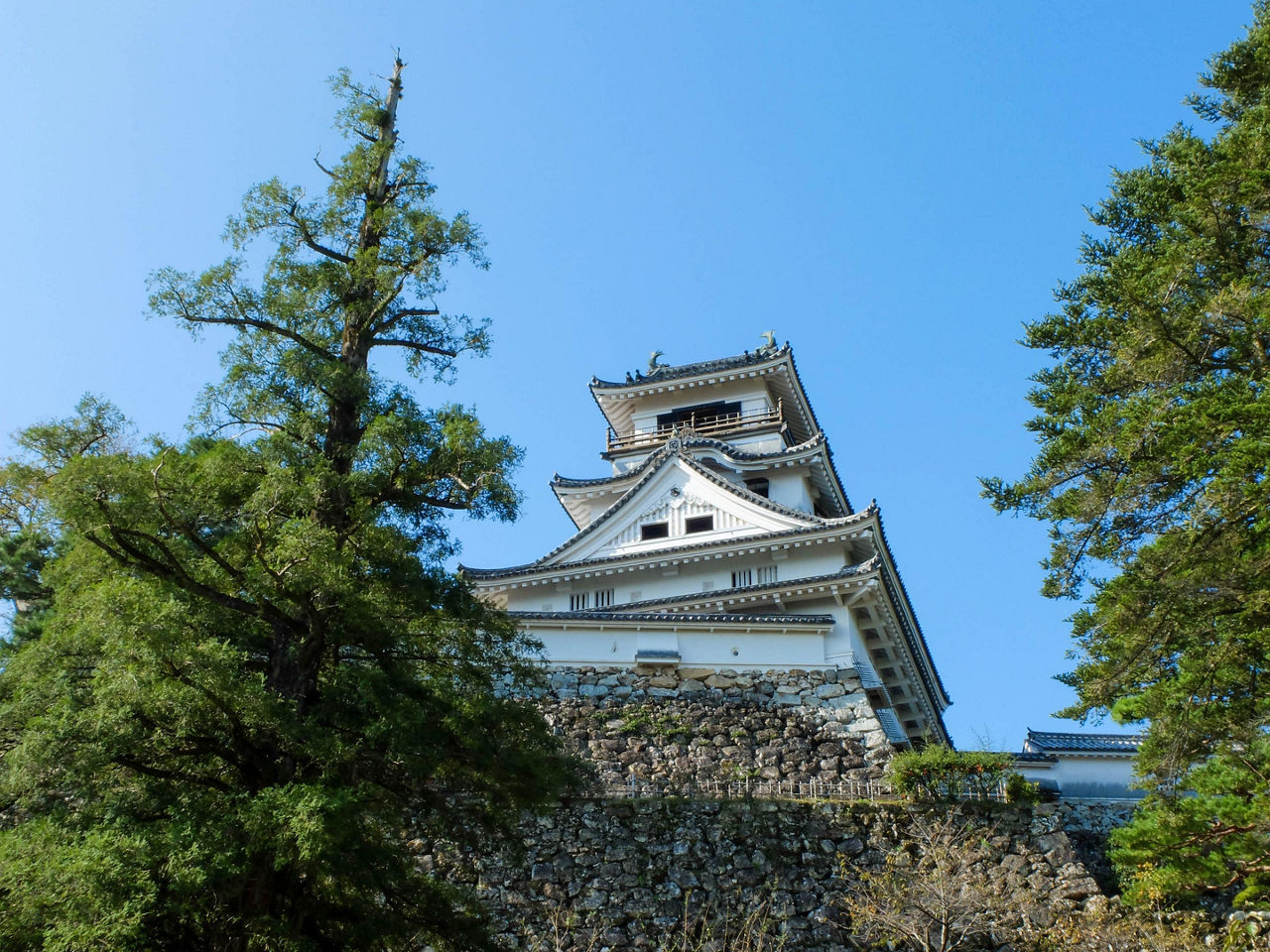 The Kochi castle in Kochi, Japan
