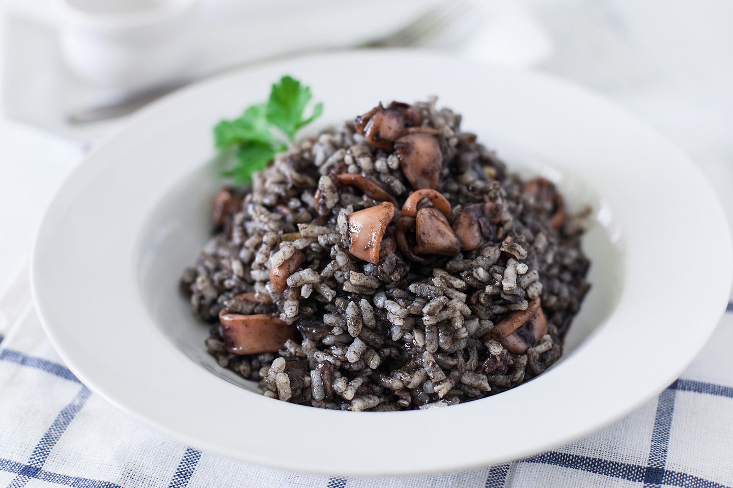 Black risotto is served in a bowl, topped with fresh herbs and squid. - Kotor, Montenegro