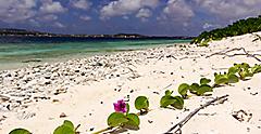 Relaxing untouched views of Name Beach and island. Bonaire.