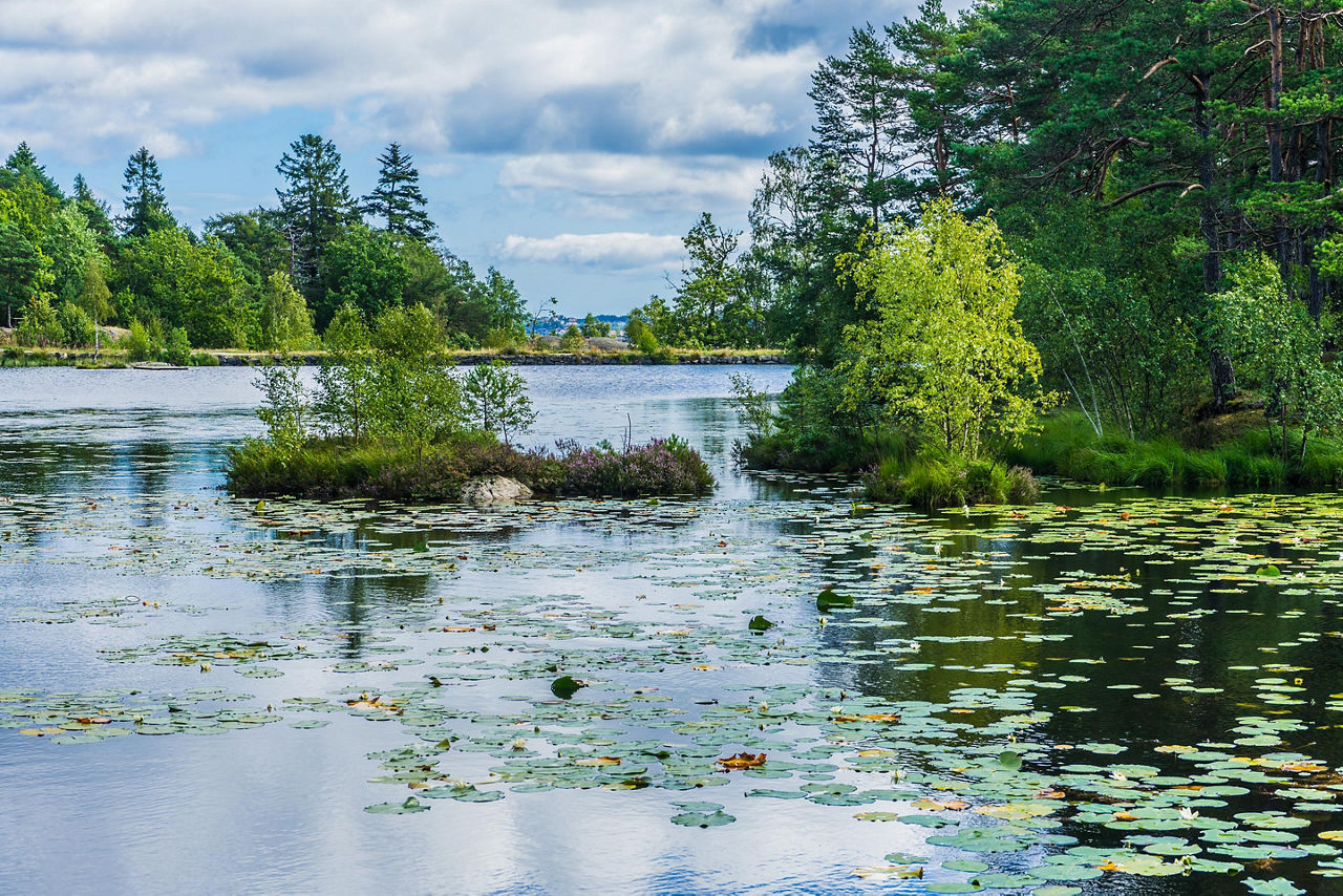 Kristiansand, Norway, Baneheia Lakeside View