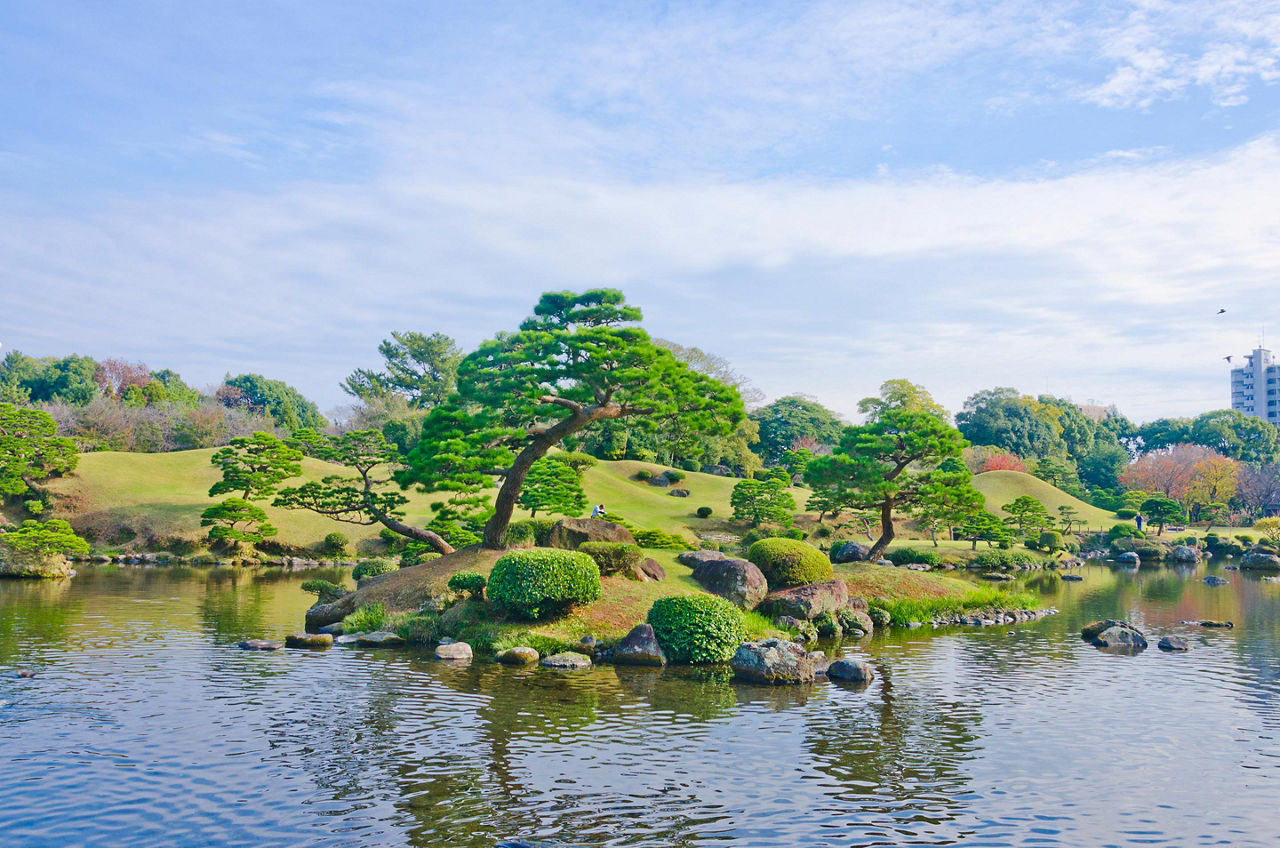 Kumamoto, Japan Garden Japanese Tree