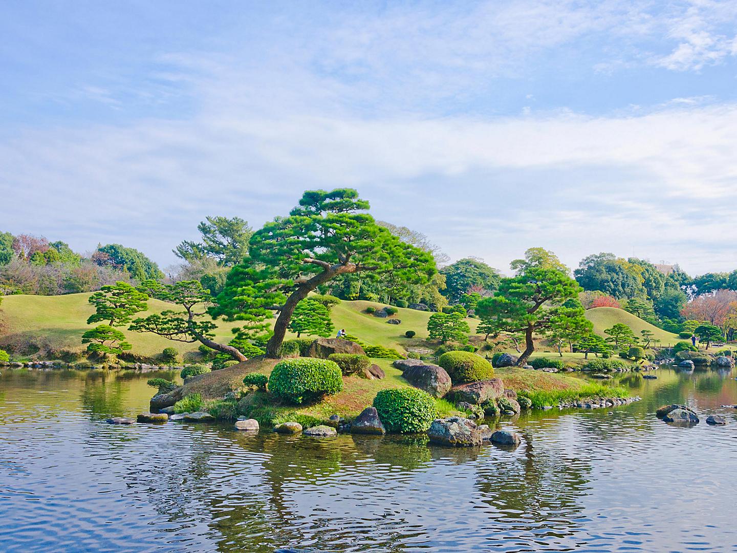 Kumamoto, Japan Garden Japanese Tree