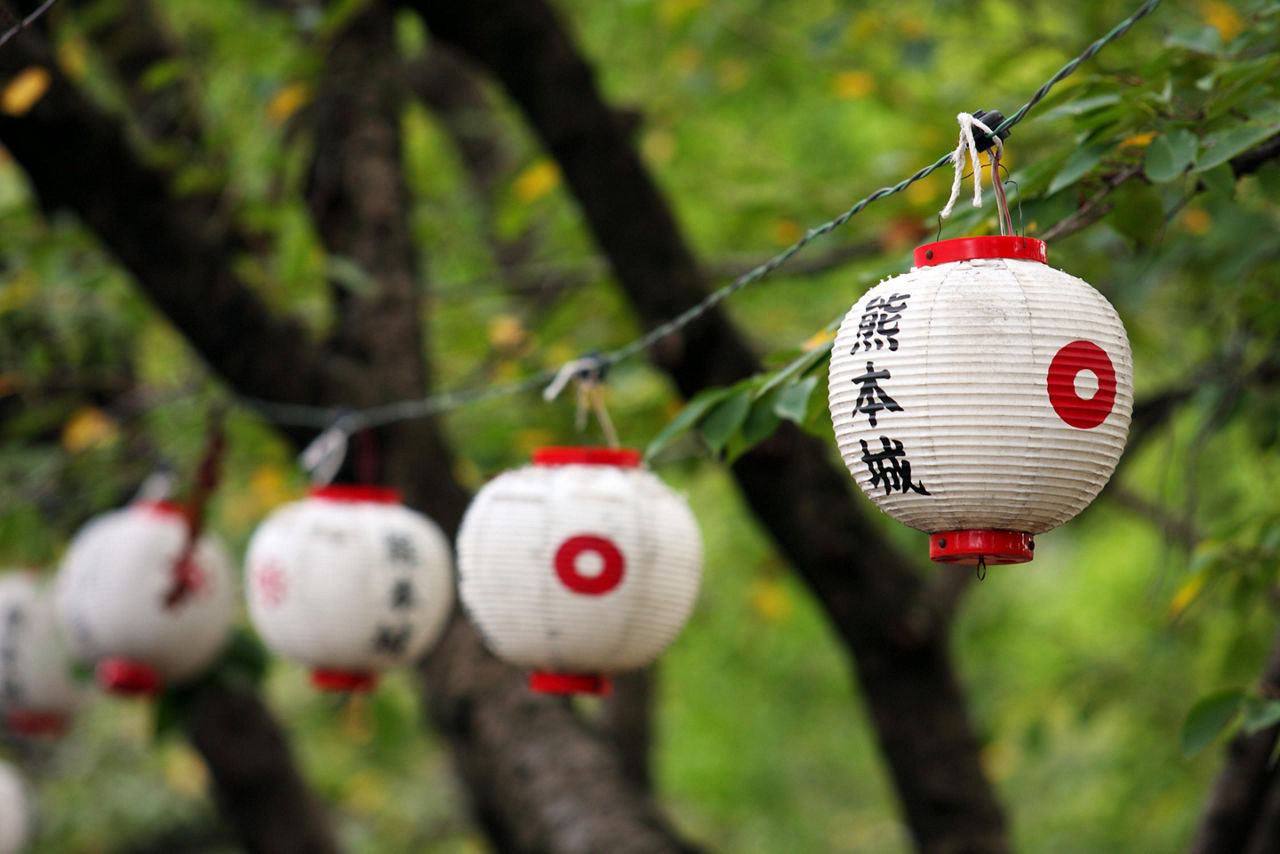 Kumamoto, Japan Lanterns