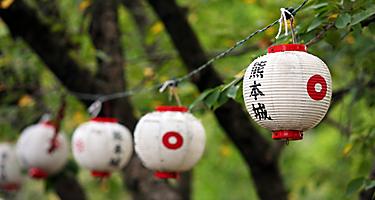 Japanese lanterns hung from tree to tree