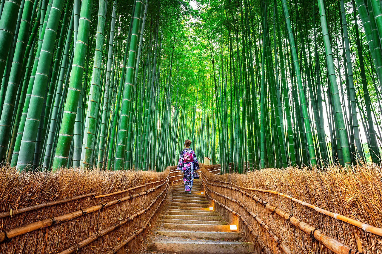 Kyoto, Maizuru, Japan Bamboo Forest