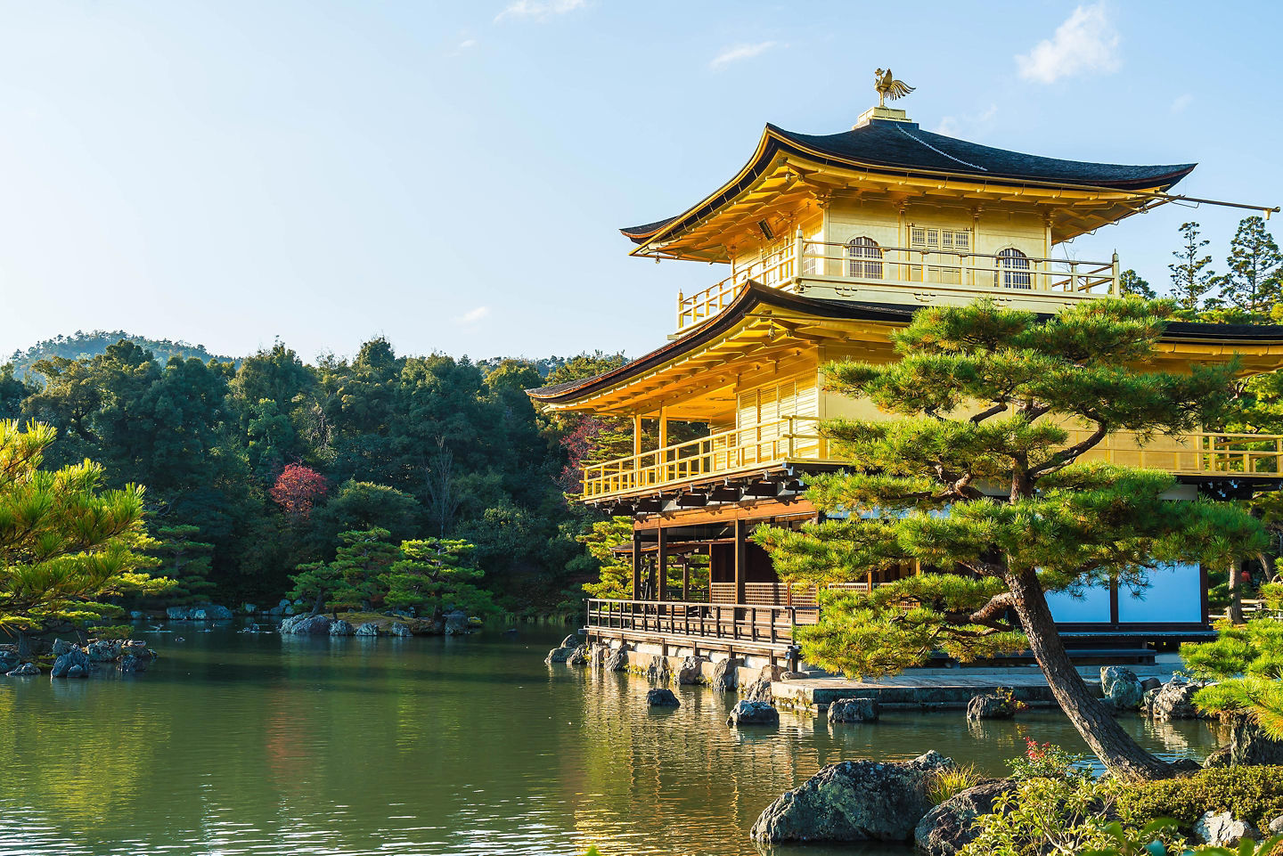 The Kinkakuji Temple, also called the Golden Pavilion, reflects on a calm pond with its bright gold exterior framed by lush greenery. - Kyoto, Japan