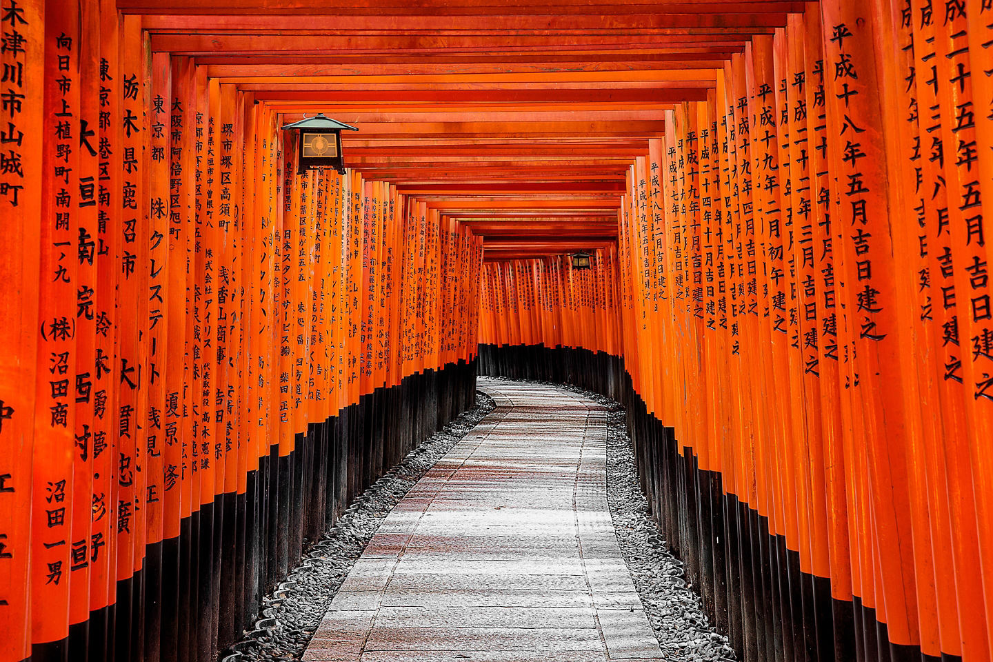 Red torii gates form a bright pathway leading through a quiet forested hillside. - Kyoto, Japan