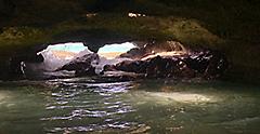 Mermaid caves on Oahu, Hawaii