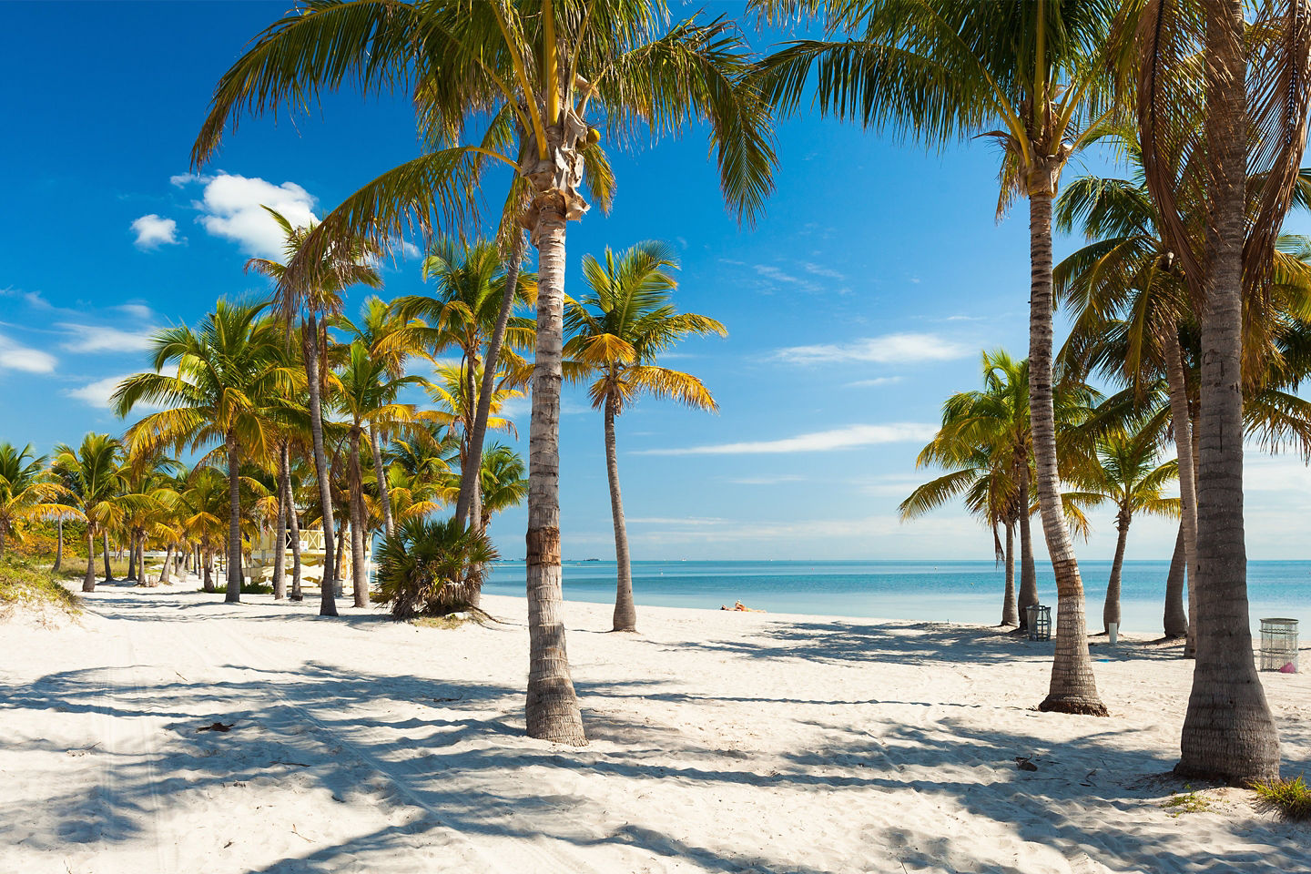 Crandon Park Beach stretches with calm waves and swaying palms. - Miami, Florida