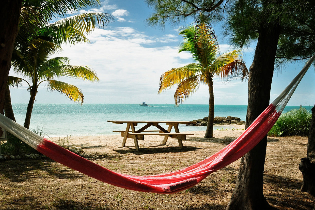 picnic table on the beach with a hammock and palm trees. Florida.
