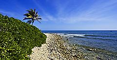 Beach Scenery with Lush Landscape, Montego Bay, Jamaica