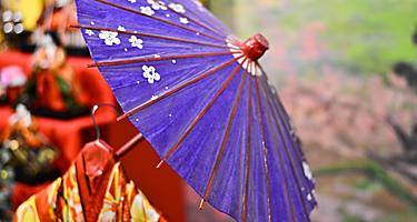 A kimono under a purple umbrella