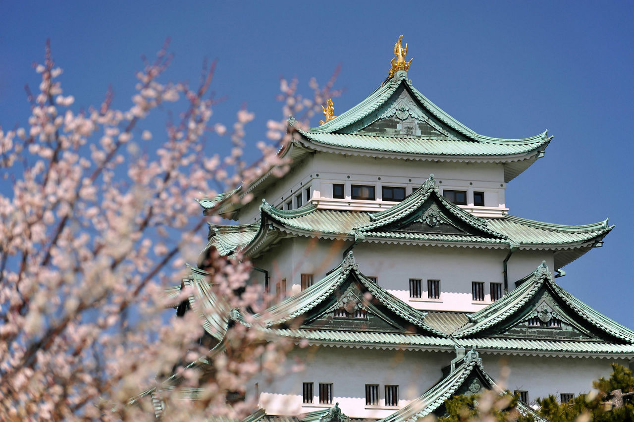 Nagoya, Japan Close Up Castle Flowers