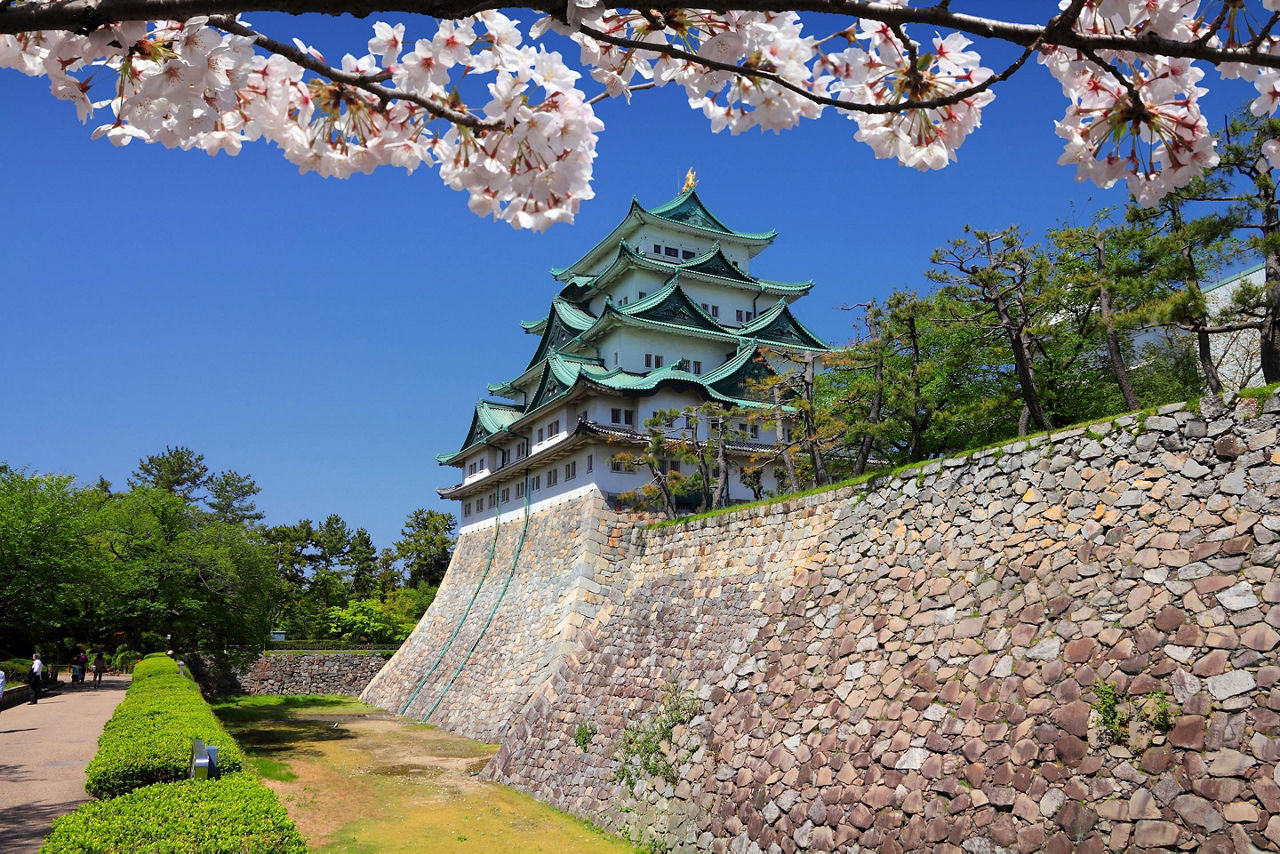 View of the castle with cherry blossoms and a wall along the outside of the castle in Nagoya, Japan