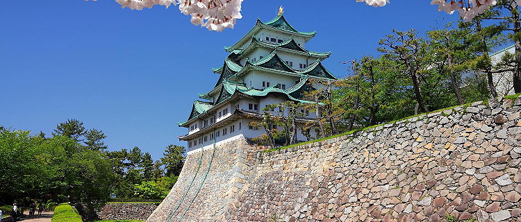 View of the castle with cherry blossoms and a wall along the outside of the castle in Nagoya, Japan