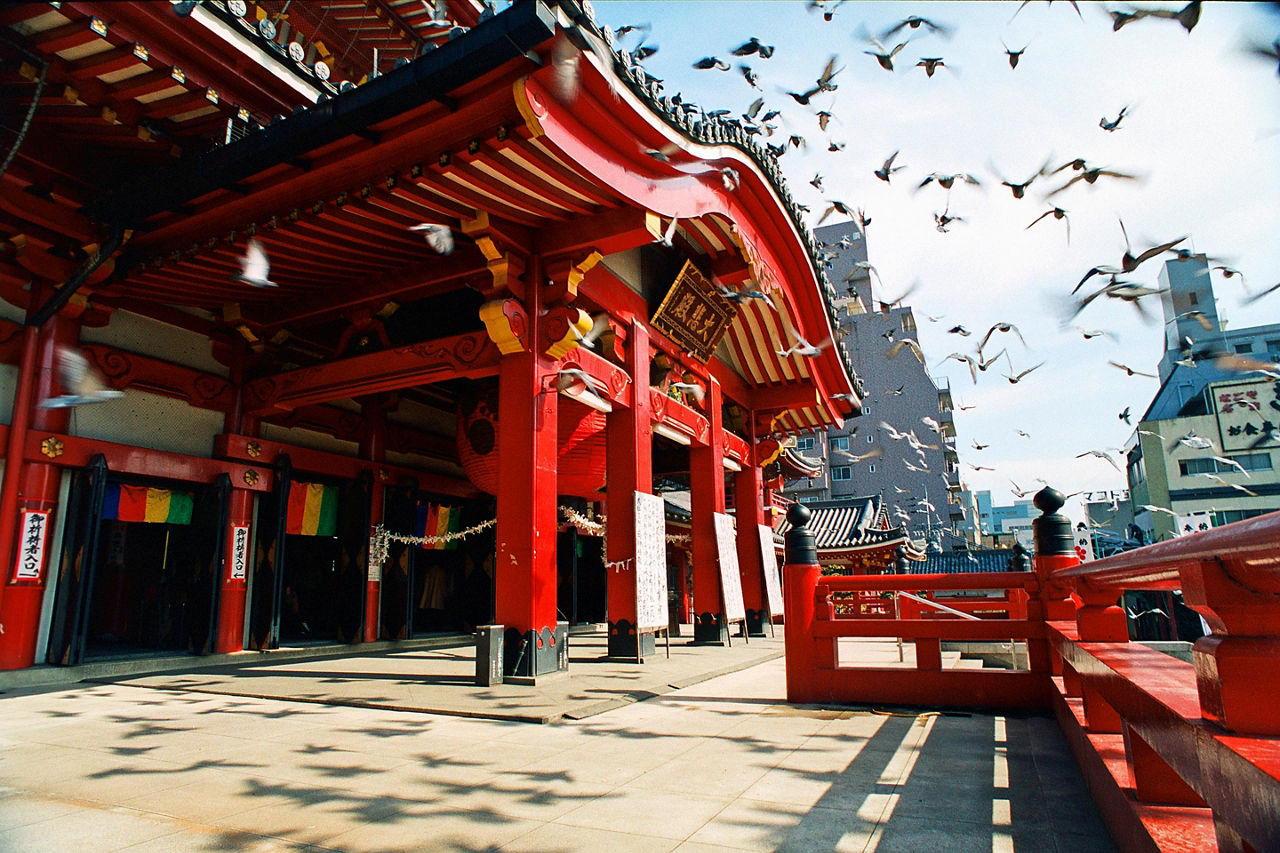 Nagoya, Japan Red Building Birds