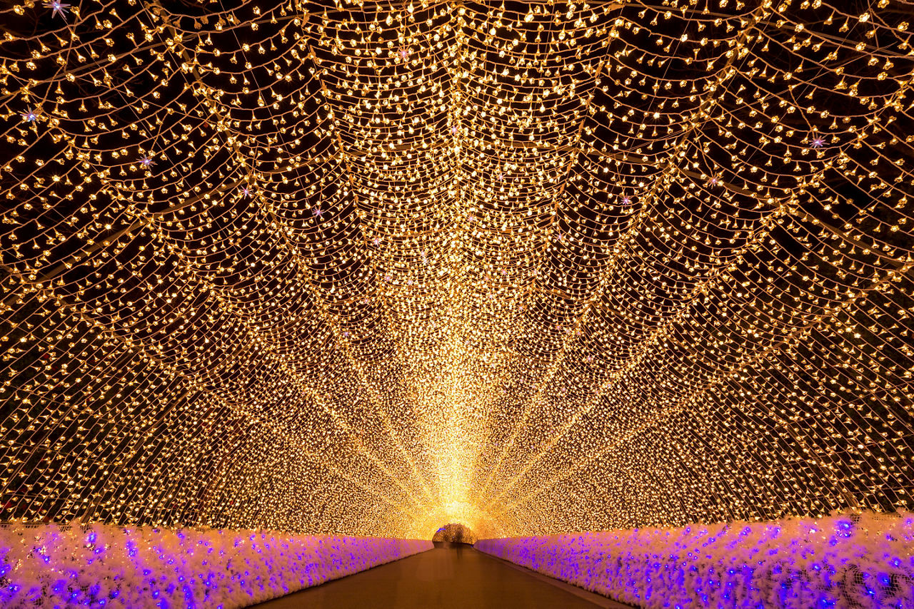 Winter Illumination Holiday Destinations in Japan