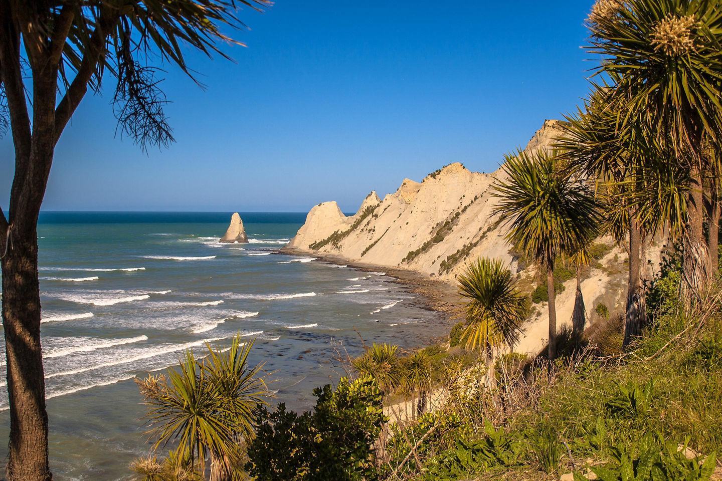 Cape Kidnappers coastline with windswept trees above blue water.