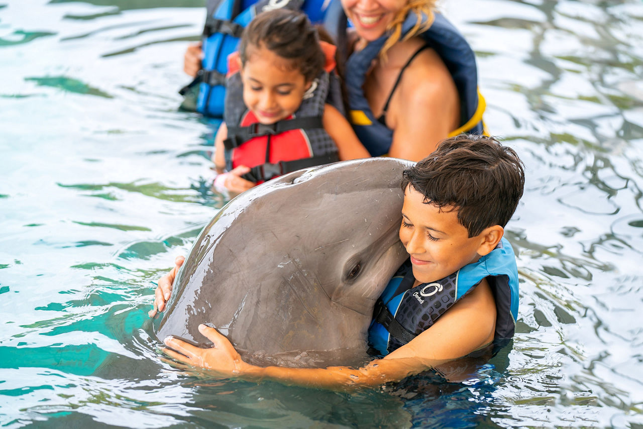 Bahamas Boy Swimming and Hugging Dolphins, Nassau, Bahamas