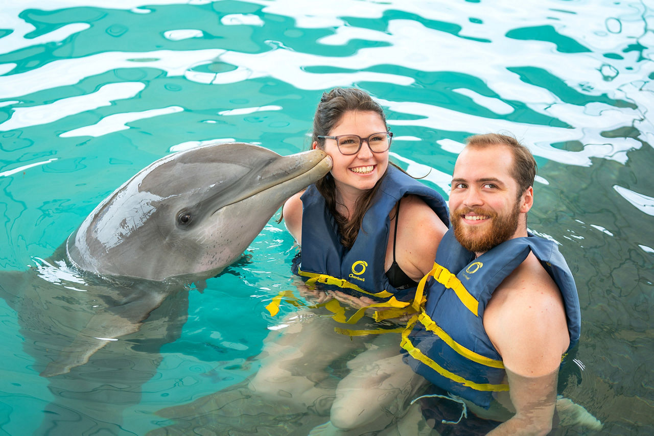 Dolphin Swimming Excursion, Nassau, Bahamas