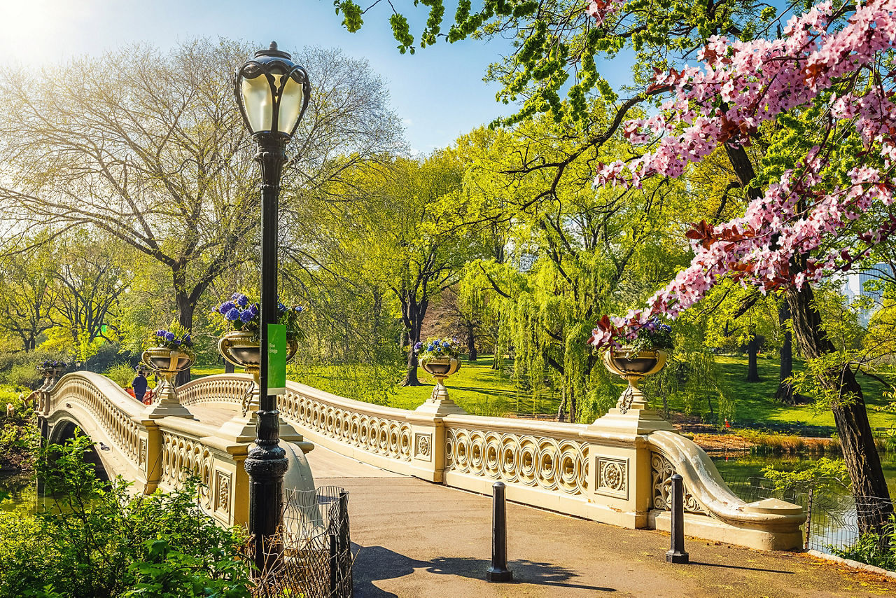 New York Central Park Bridge Lush