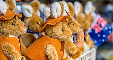 Stuffed toy Kangaroo souvenirs for sale at the markets in Australia