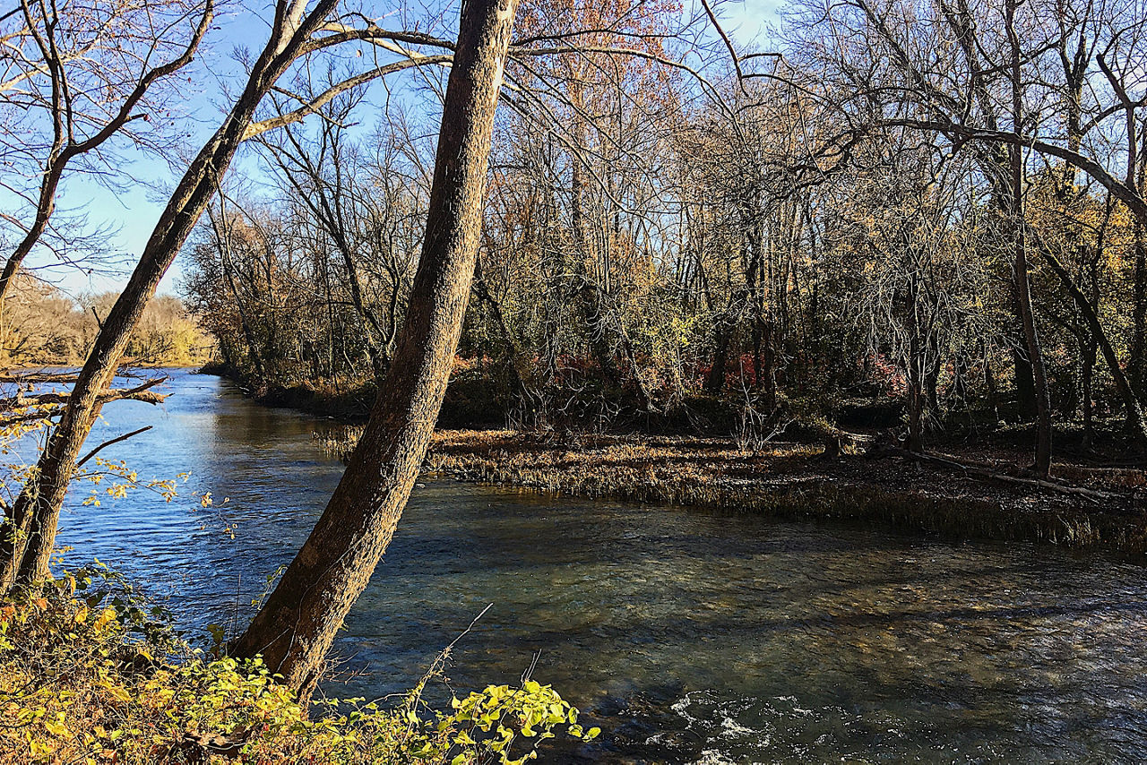 Conservation Site at Wildcat Glades Conservation and Audubon Center