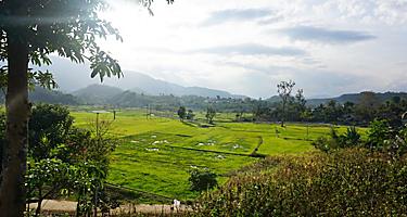Rice fields and mountains in Cam Ranh, Vietnam