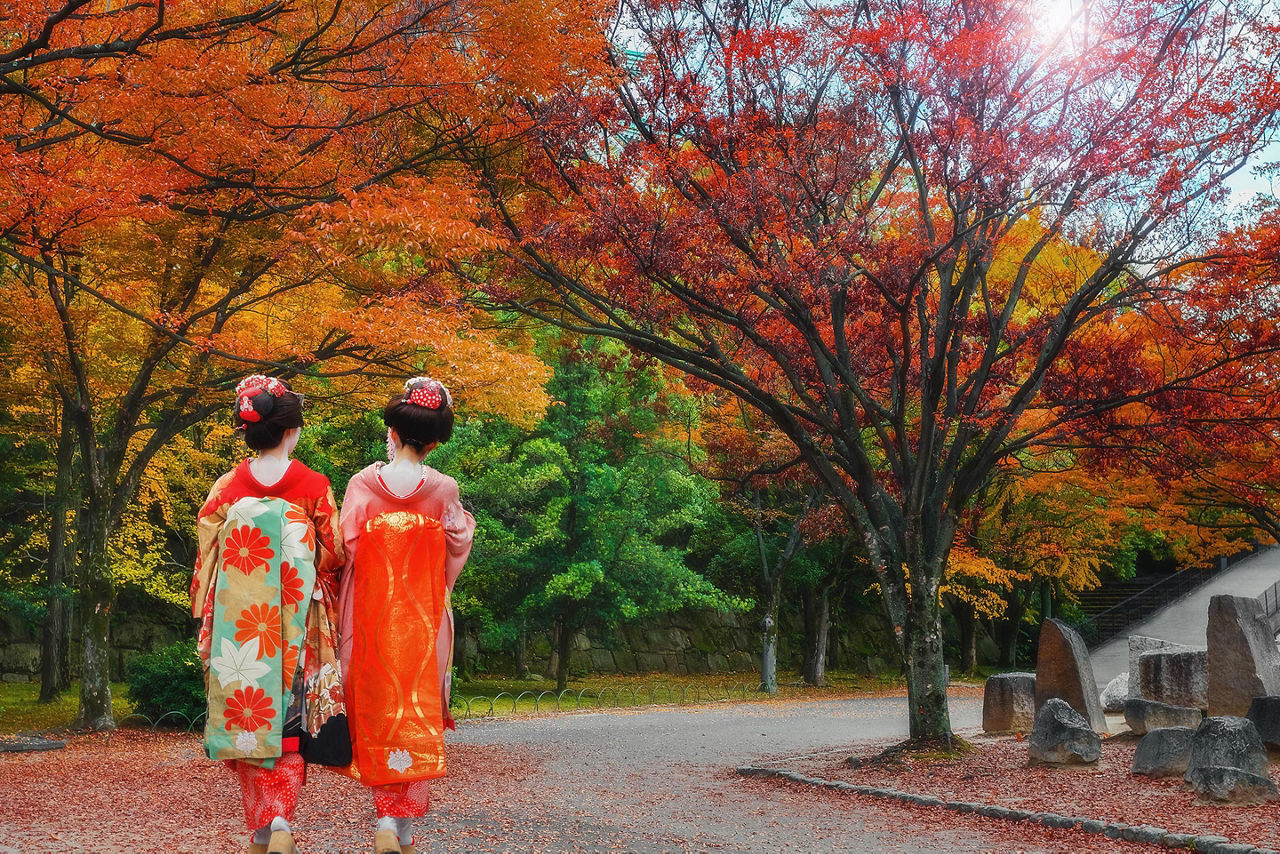 Two geisha girls walking on a road during Autumn in Niigata, Japan