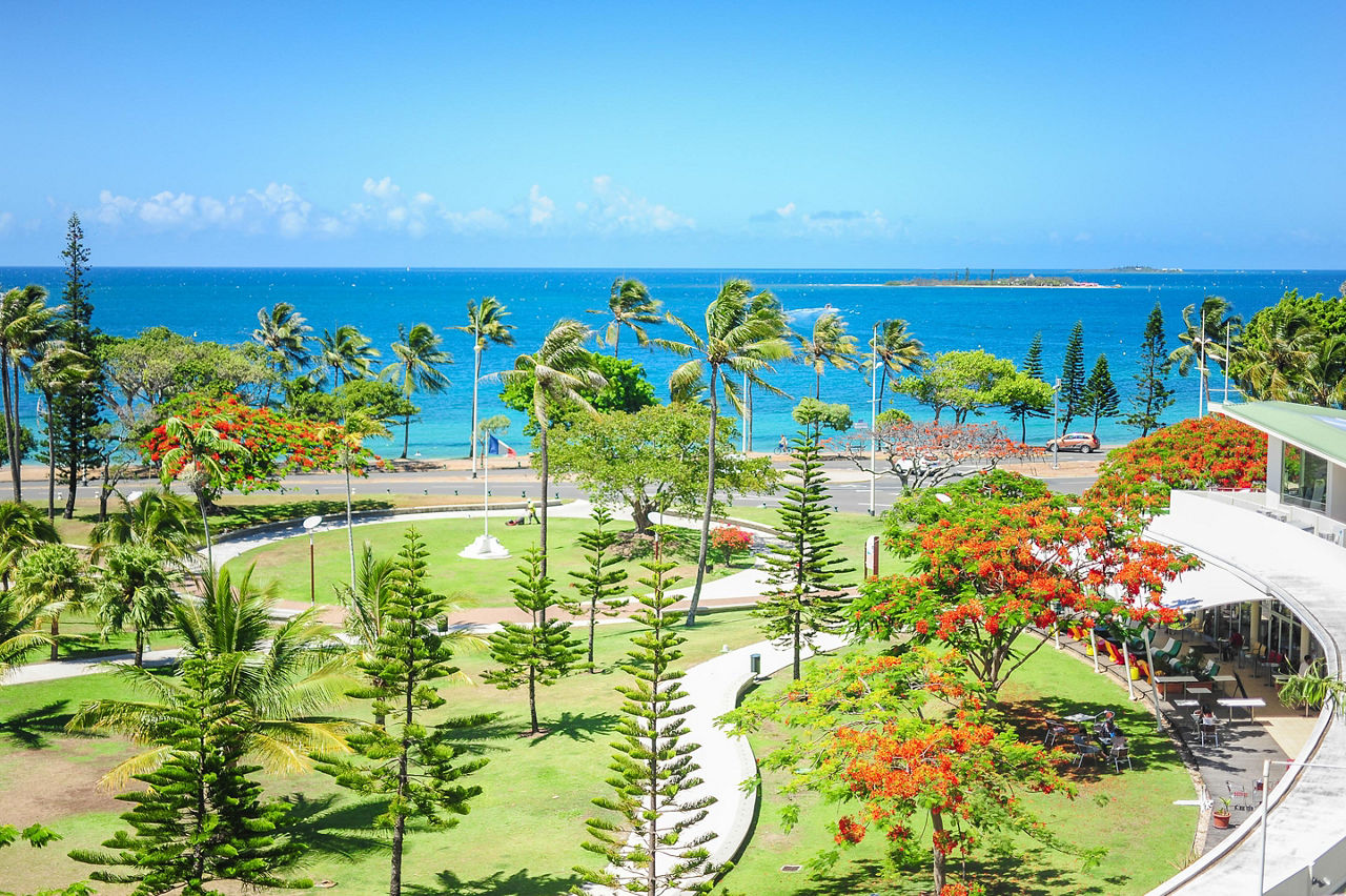 Noumea, New Caledonia Landscape Palms Ocean
