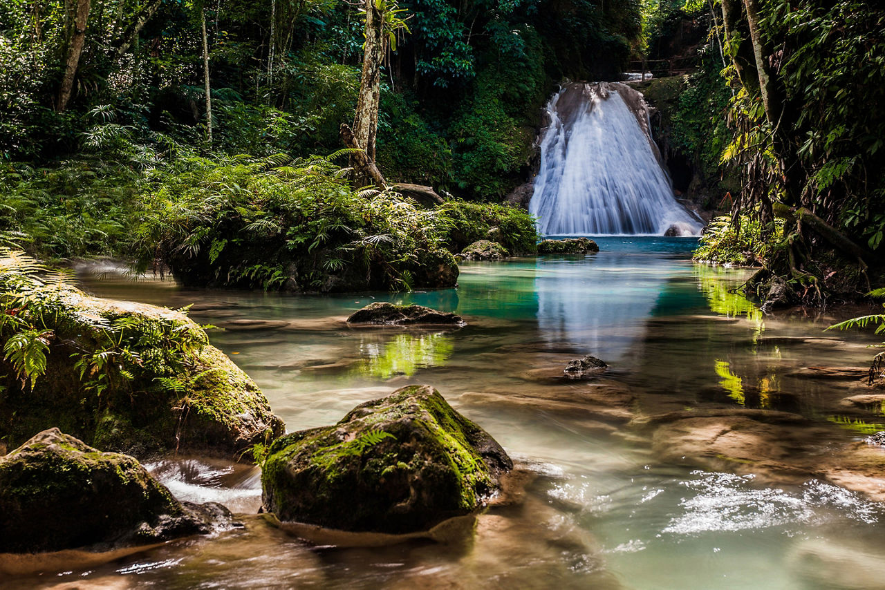 Forest Waterfall, Ocho Rios, Jamaica