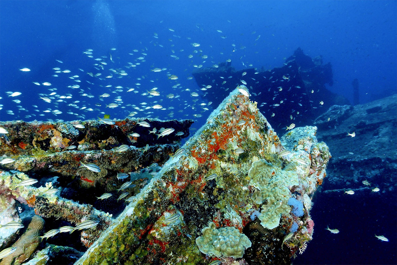 Antilla shipwreck in Aruba. The Caribbean.
