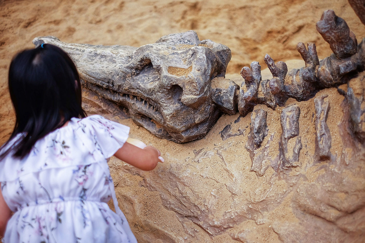 A girl playing in a sandbox with a modeled dinosaur fossil, digging sand off the fossil. Orlando, Florida.