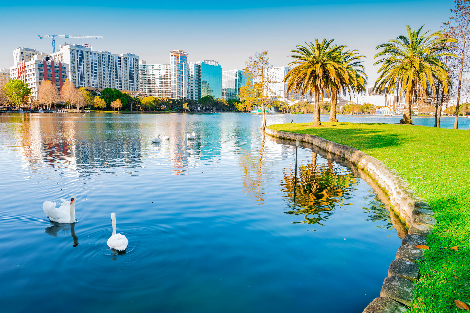 orlando downtown swans lake