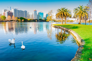 orlando downtown swans lake