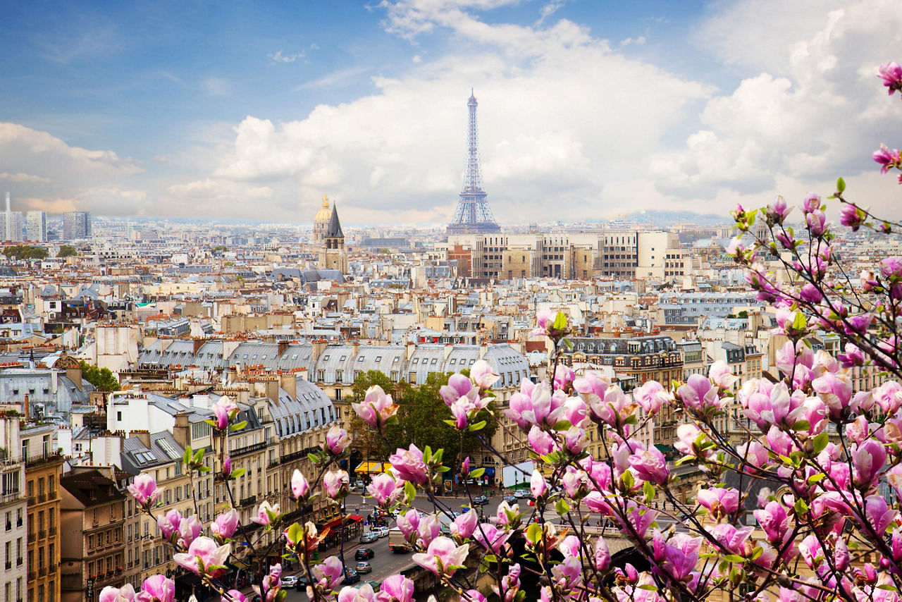 view of city with blooming magnolias during spring near the Eiffel Tower. Pari, France. 
