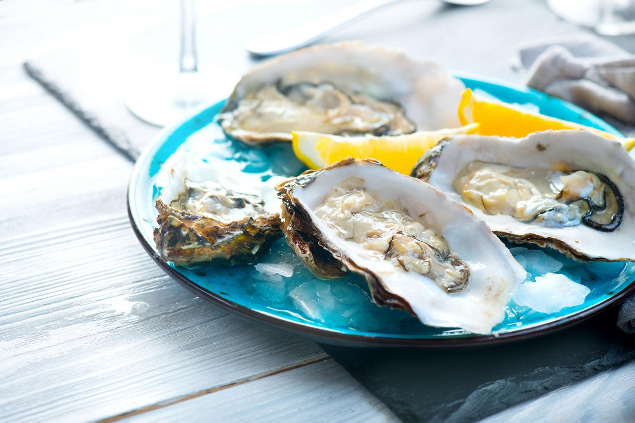 Plate of fresh Oysters in Picton, New Zealand