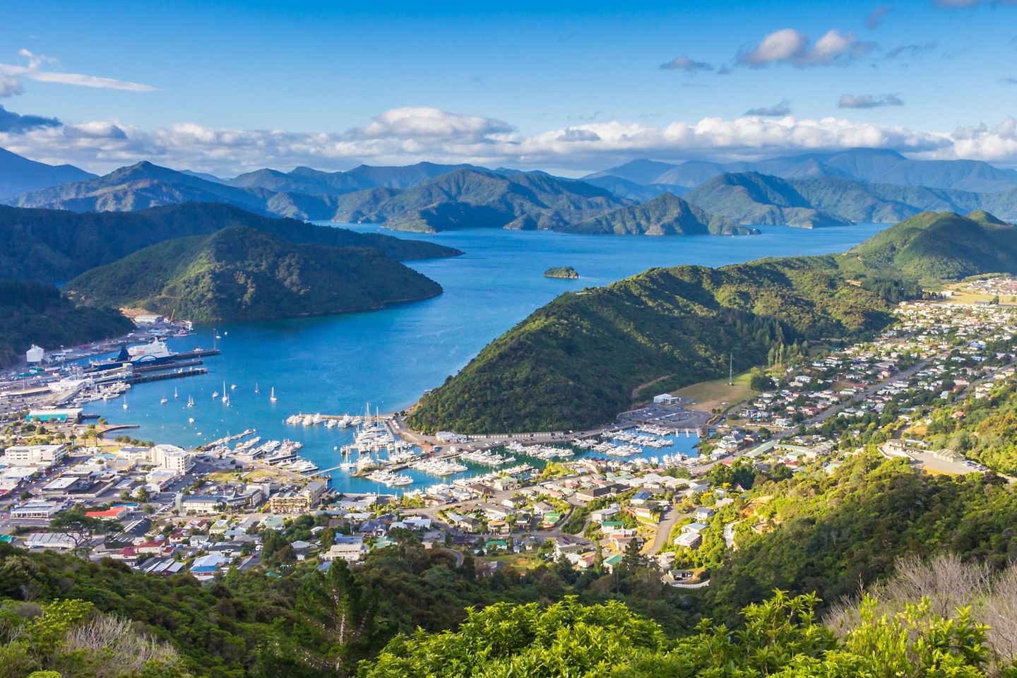Picton harbor view from Queen Charlotte Track with blue water below. - Picton, New Zealand