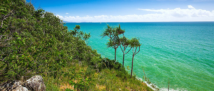 Beach and tropical vegetation in Port Douglas, Australia