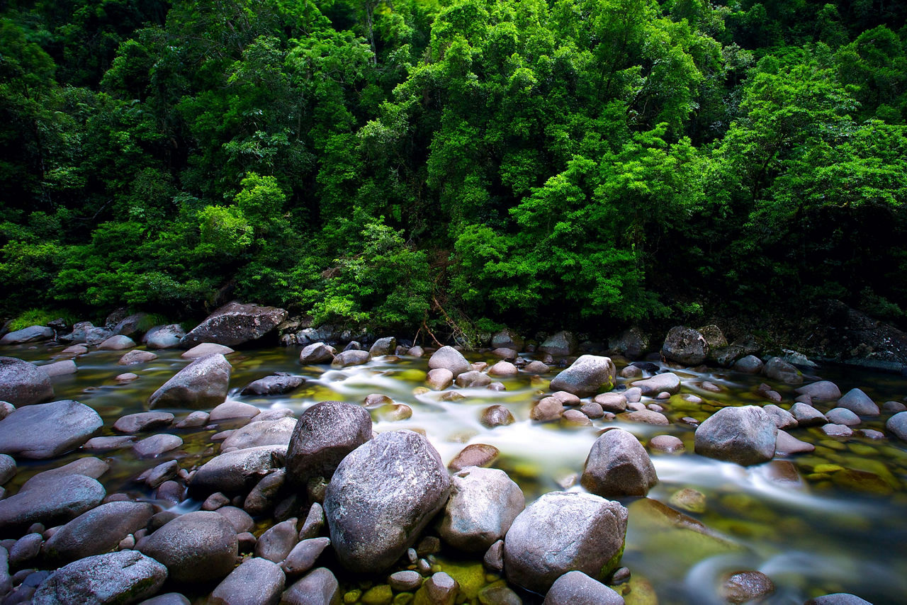Mossman River flowing at Daintree Park in Port Douglas, Australia