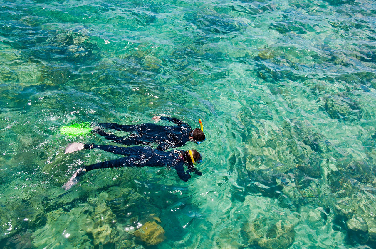 Snorkelers at the Great Barrier Reef by Port Douglas, Australia