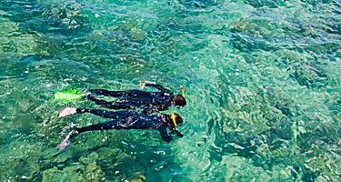 Snorkelers at the Great Barrier Reef by Port Douglas, Australia