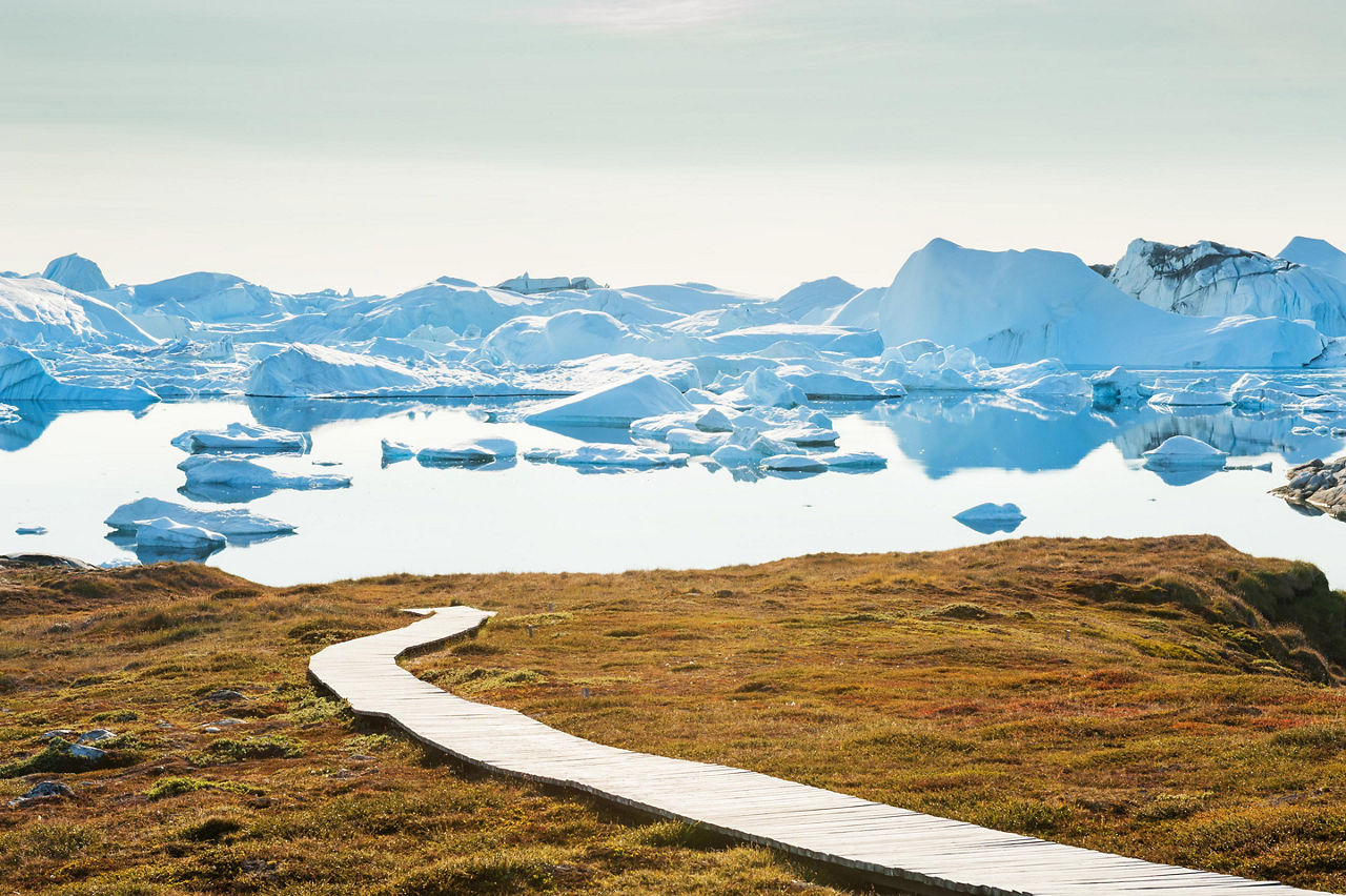 A coastal hiking trail in Greenland