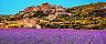 Provence (Marseille), France Lavender Fields